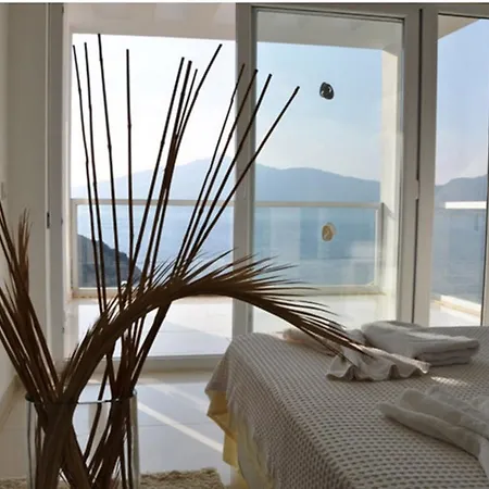 Muz Kalkan