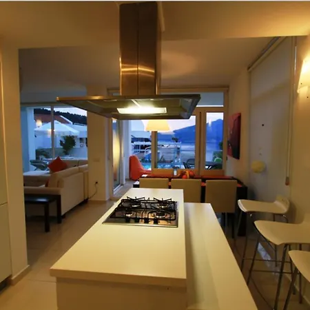 Muz * Kalkan